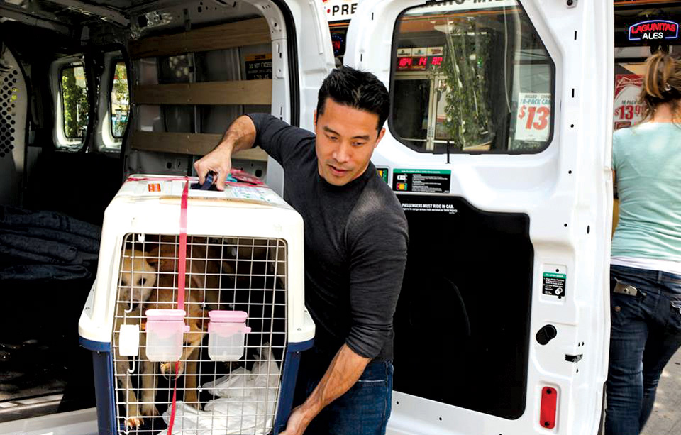 The beginning of a new life for rescued dogs (photo by Sarah Jane Hardt)